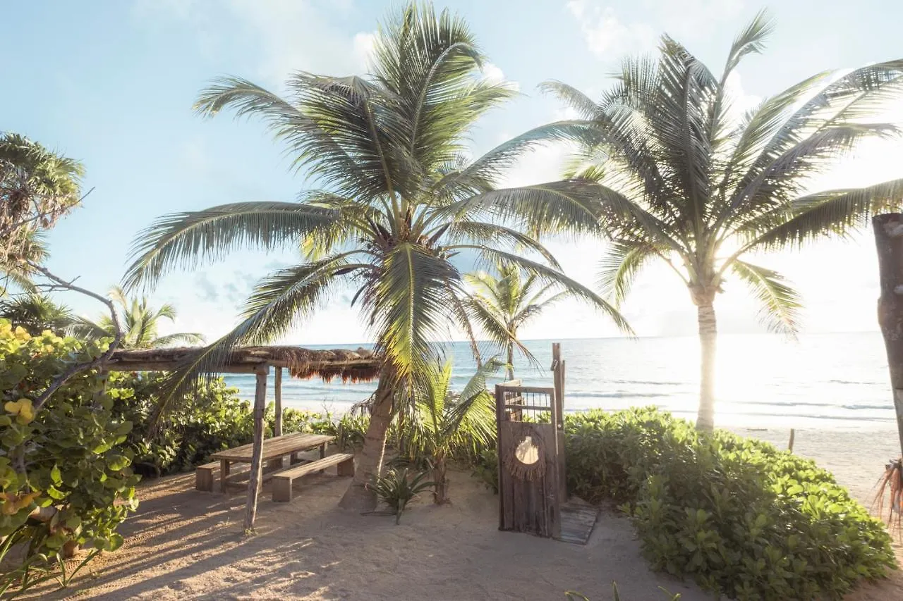 Hotel Casa Phoenix Tulum Pueblo
